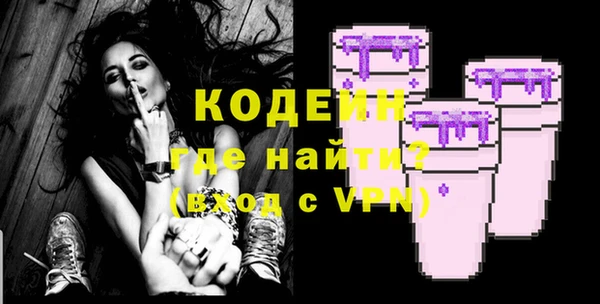 молекула духа Богданович