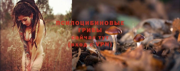 прущий лед Бронницы