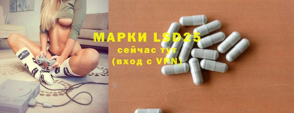 сатива Бугульма