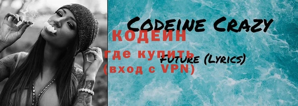молекула духа Богданович