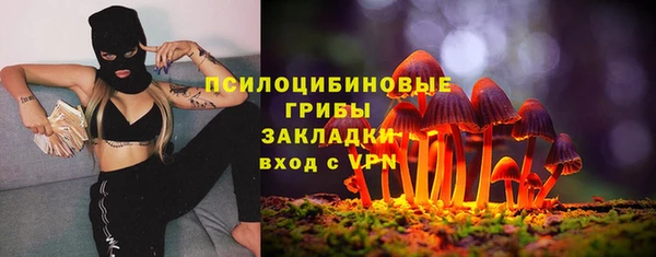 сатива Бугульма