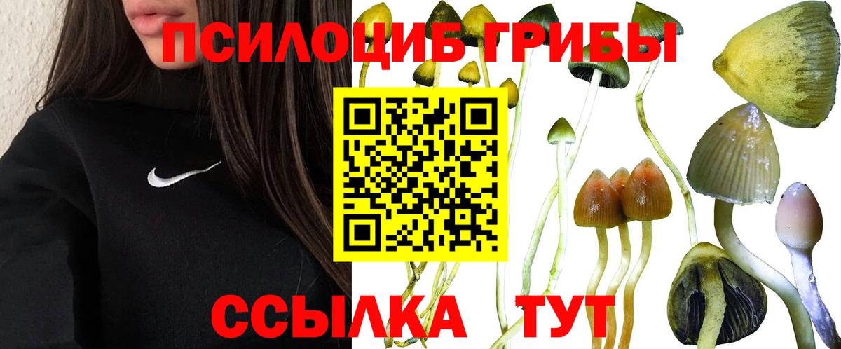 Псилоцибиновые грибы мухоморы Можайск